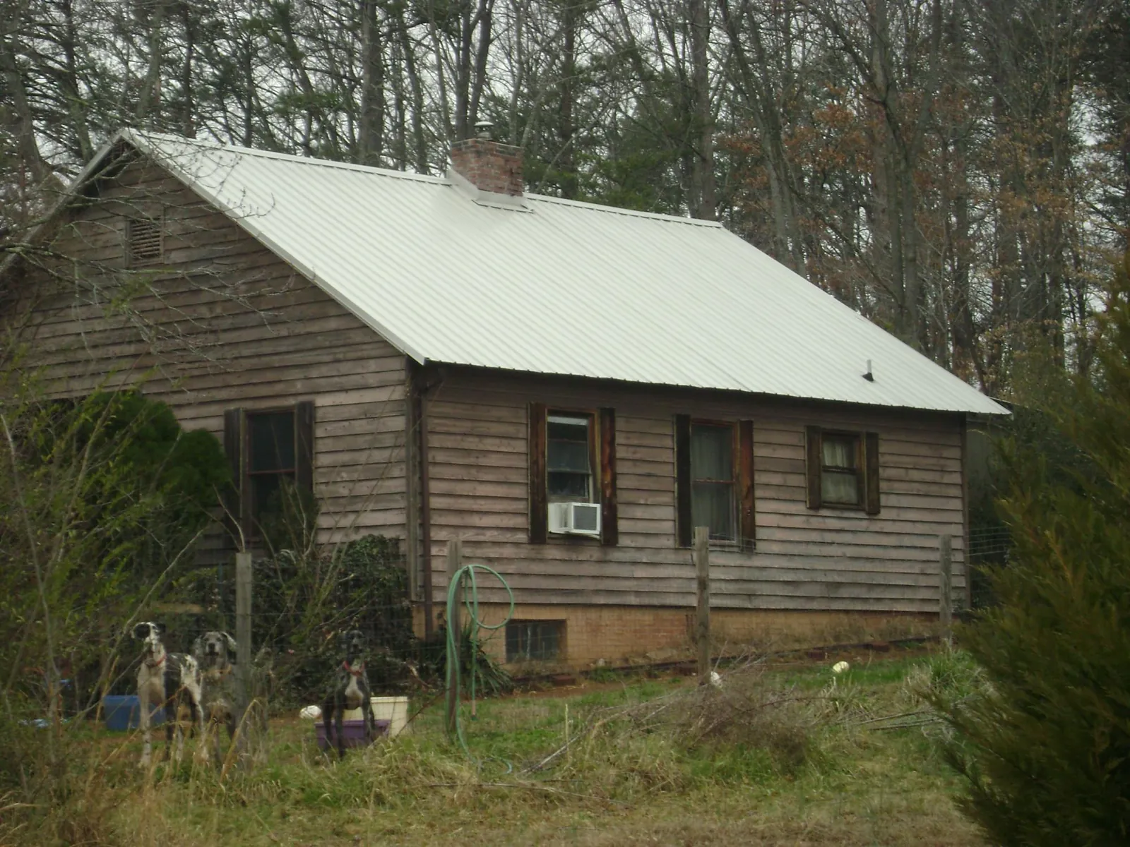 White metal roof on an old wood sided farmhouse, from a Asphalt Shingle Roof Repair job in Dayton